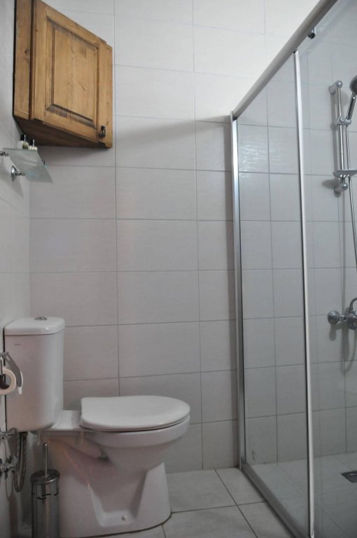 Аванос: Bir Kedi Villa