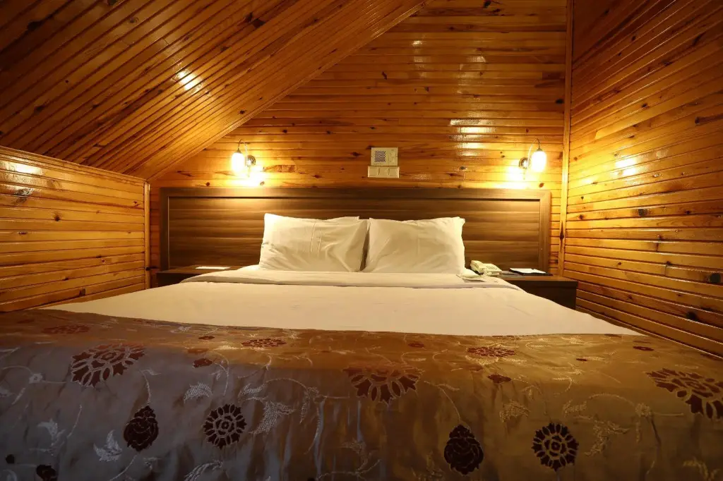 Эрзурум: Dedeman Palandoken Resort Hotel