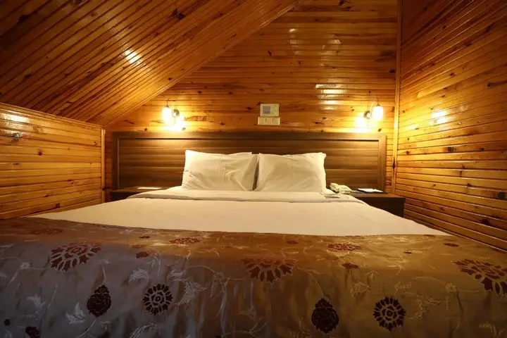 Эрзурум: Dedeman Palandoken Resort Hotel
