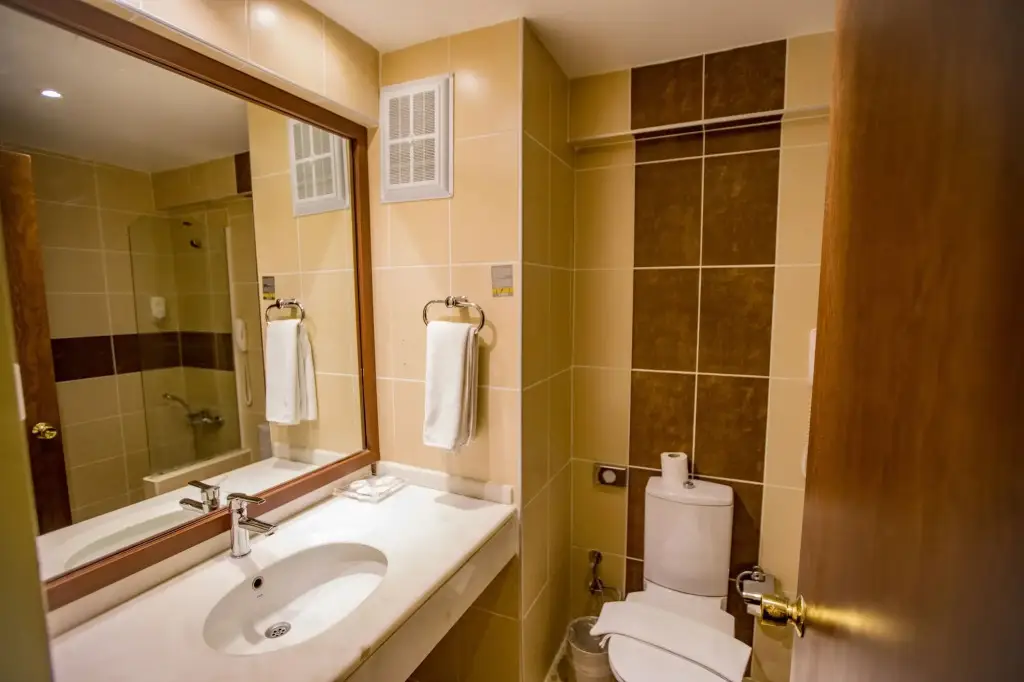 Эрзурум: Dedeman Palandoken Resort Hotel
