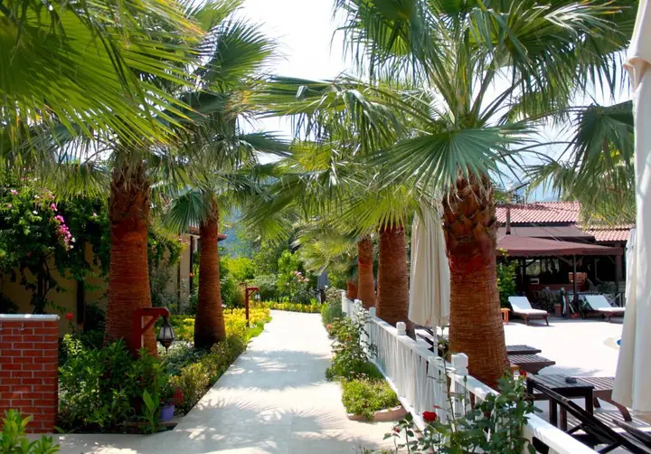 Чиралы: Nerissa Hotel - Special Class