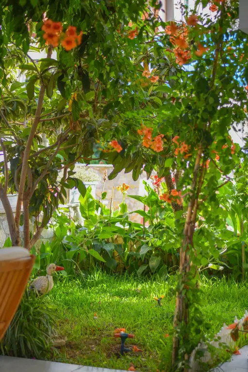 Датча: Kaya Apart Hotel Datca