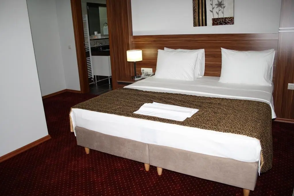 Дюздже: Pelemir Hotel