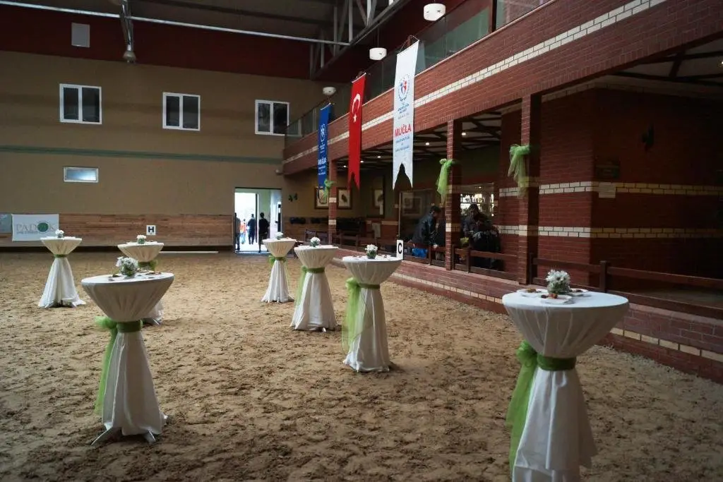 carousel image 3