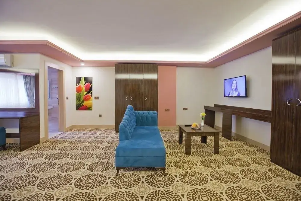Анкара: Celikhan Hotel