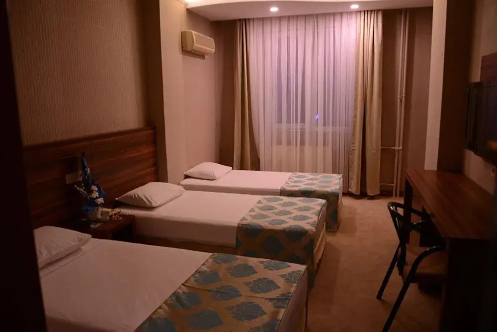 Газиантеп: Ayintap Hotel