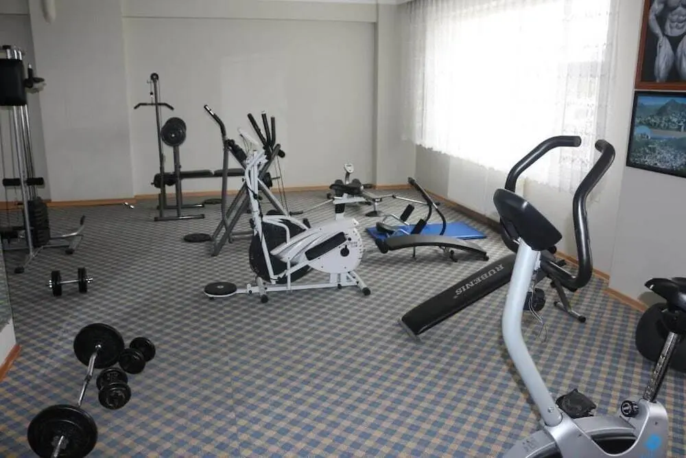 Шебинкарахисар: Hancilar Otel