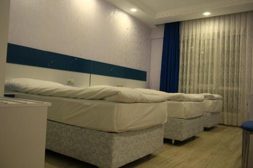 Сейдисехир: Ünal Palas Otel