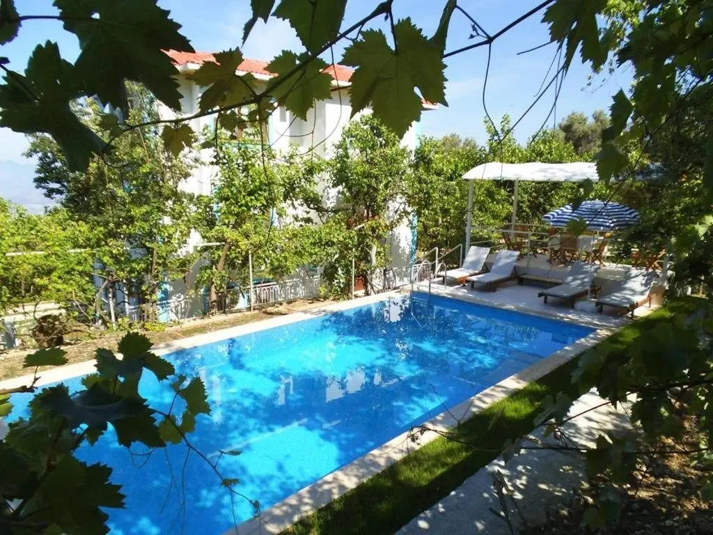 Исламлар: Villa Lapaz Esintisi
