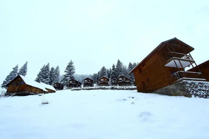 Гюмюшхане: Hamsiköy Zitaş Bungalov & Restoran