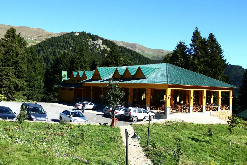 Гюмюшхане: Hamsiköy Zitaş Bungalov & Restoran