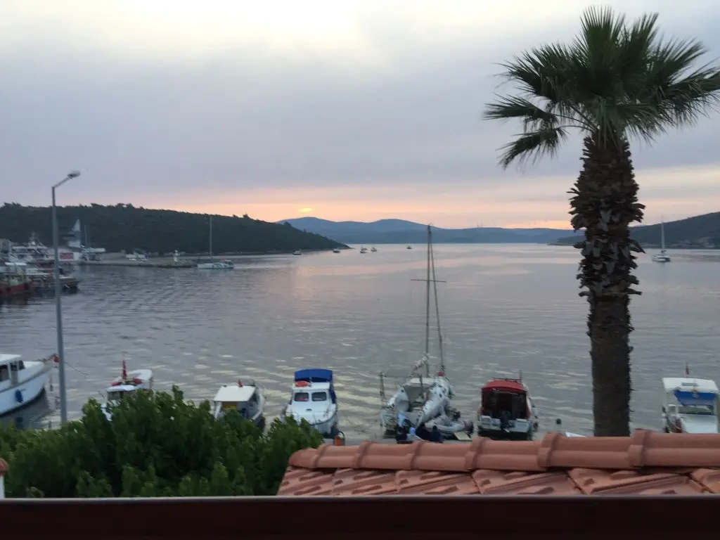Сыгаджик: Teos Lodge Pansiyon & Restaurant