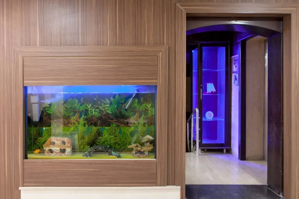 Стамбул: Lal Hotel