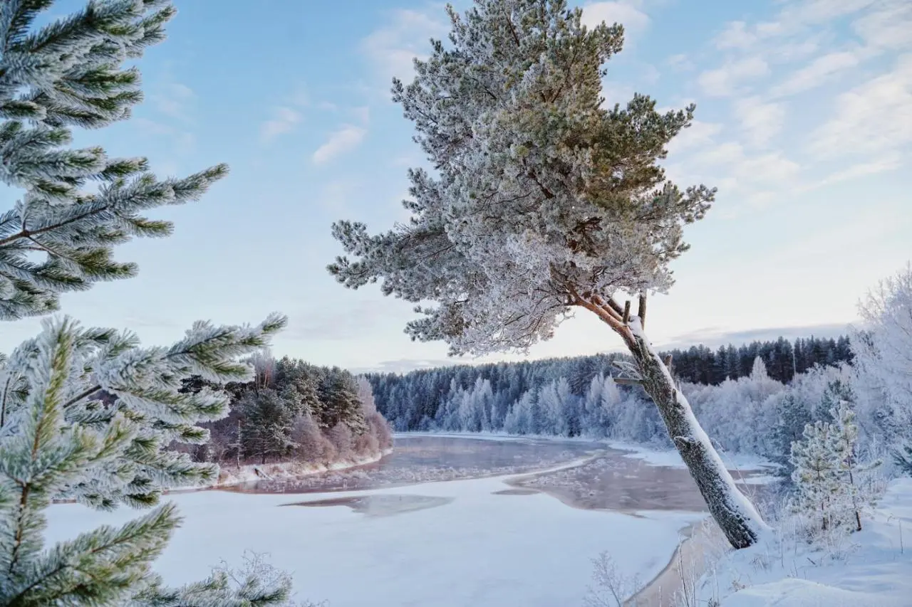 Лодейное Поле: Tochka na karte. Lodeynoye Pole