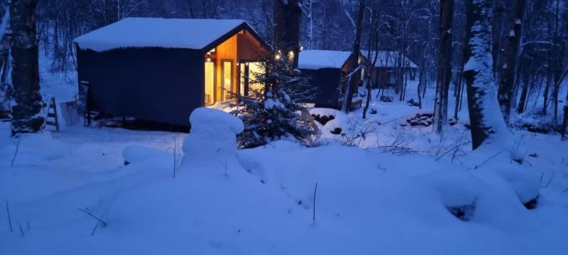 Ромашки: Загородный клуб Ромашка