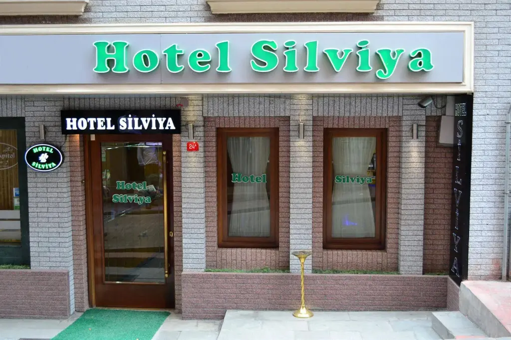 Стамбул: Silviya