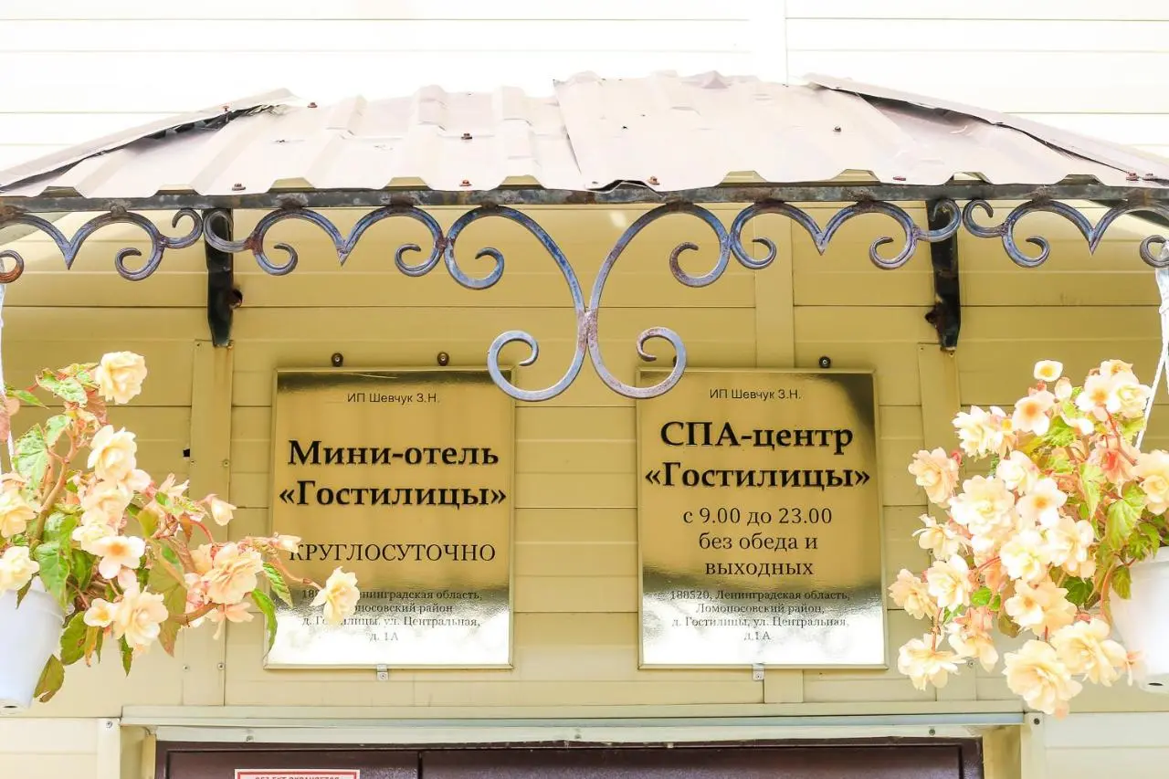 Санкт-Петербург: Мини-Отель Гостилицы