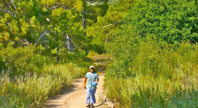 Фетхие: Yuva Eco Holiday Yoga Retreat
