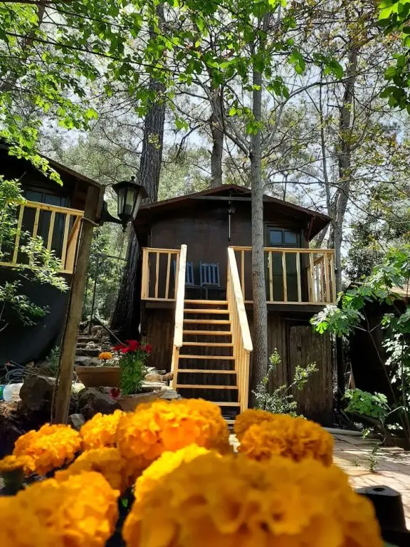 Кумлуджа: Altaris Bungalows Olympos