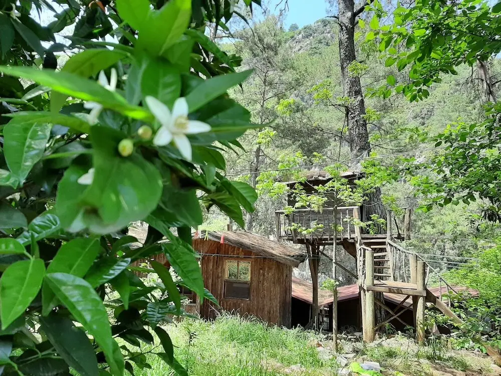 Кумлуджа: Altaris Bungalows Olympos