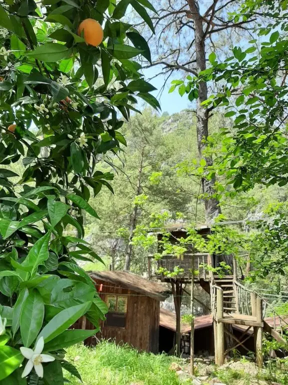 Кумлуджа: Altaris Bungalows Olympos