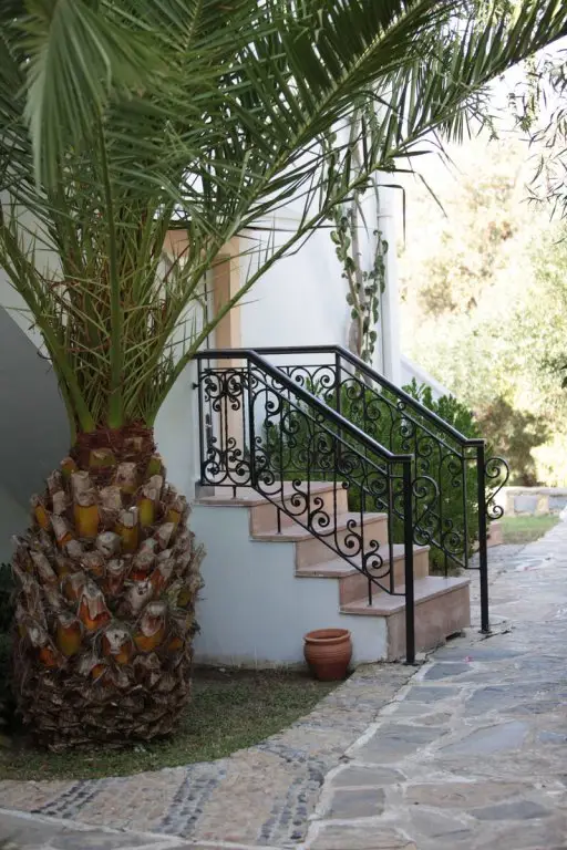 Яликавак: Cactus Charme