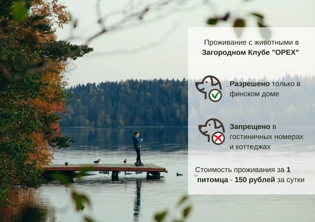 Сосново: Загородный клуб «Орех»
