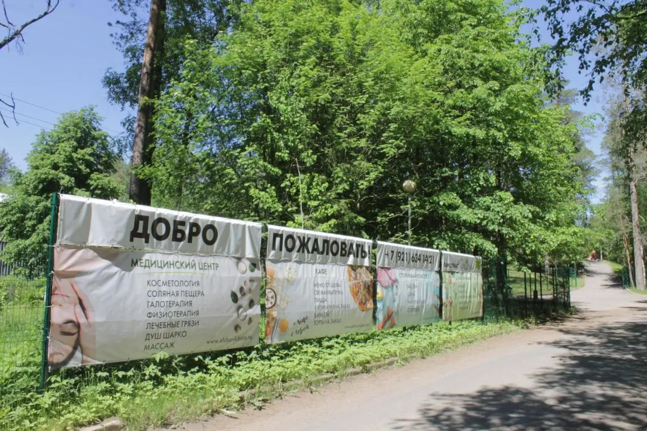 Чернявское: Пансионат Ольшаники