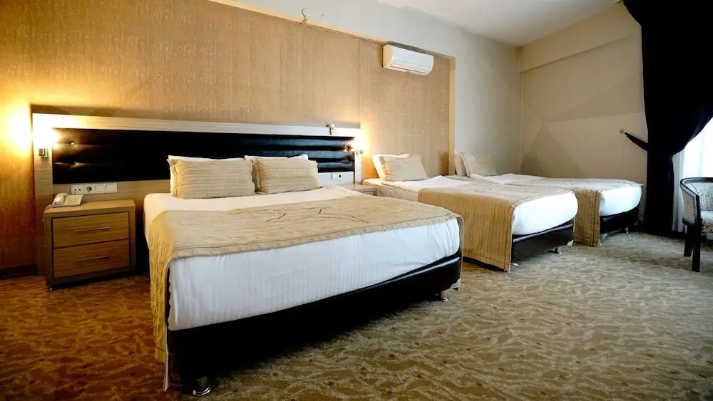 Эскишехир: Es Albatros Hotel