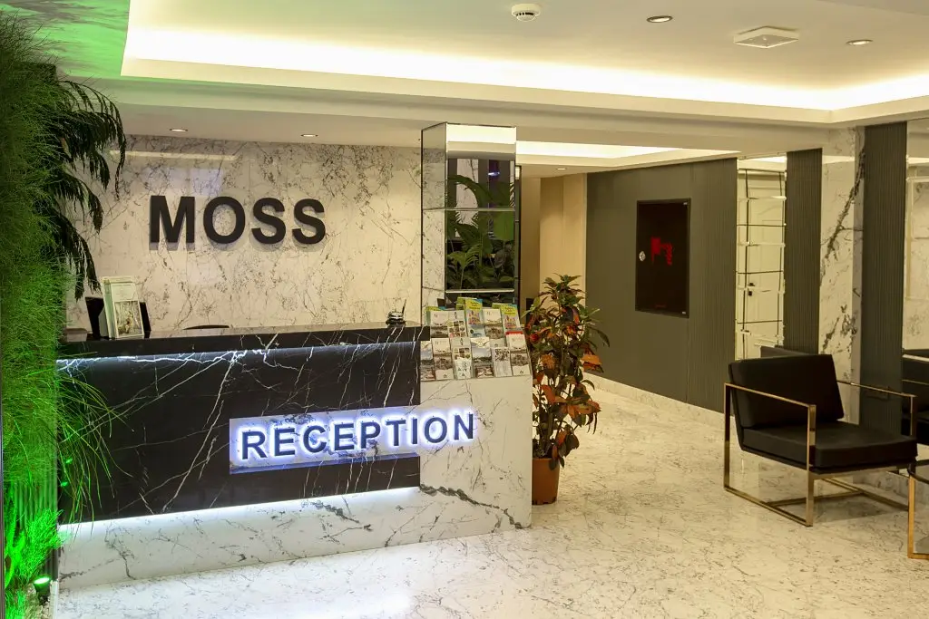 Стамбул: Отель Moss Suit