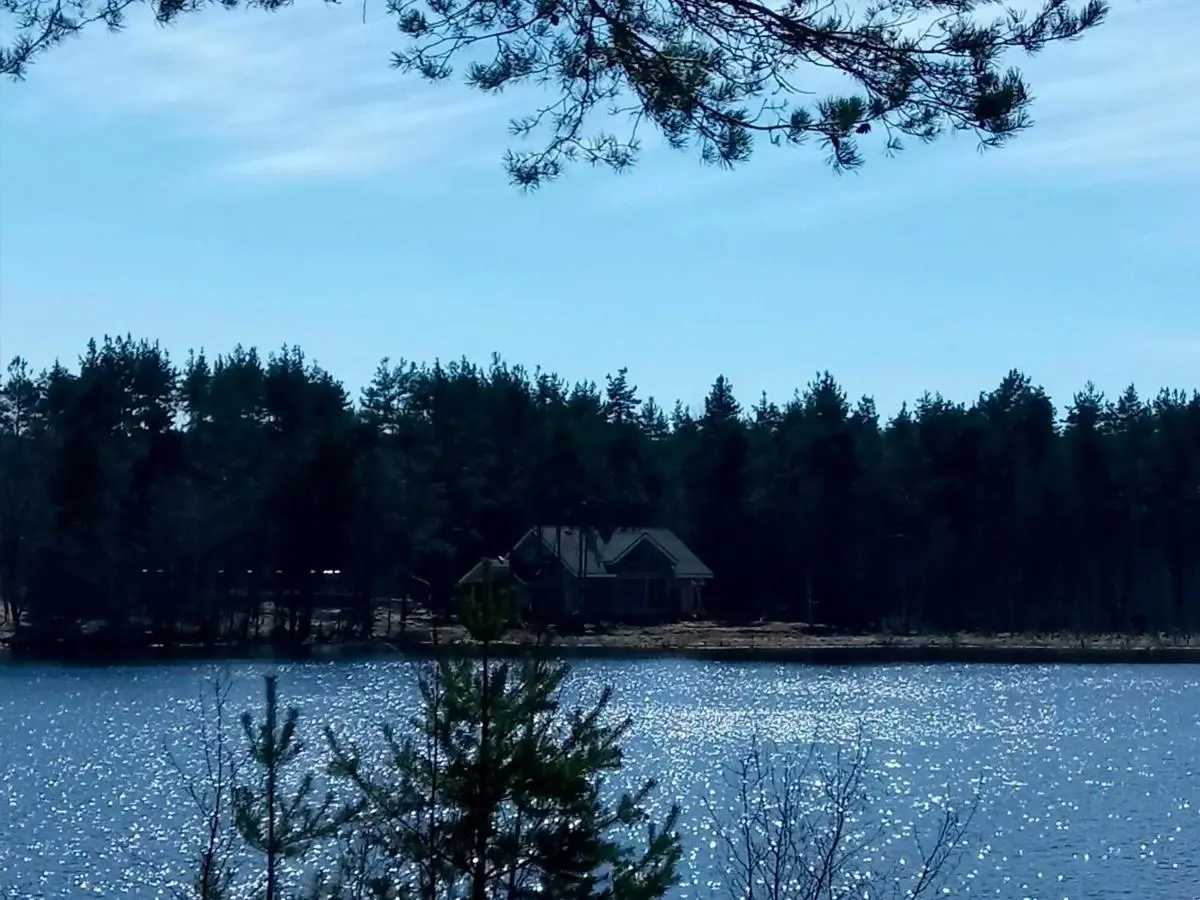 Сосново: Cottages Sosnovo Life