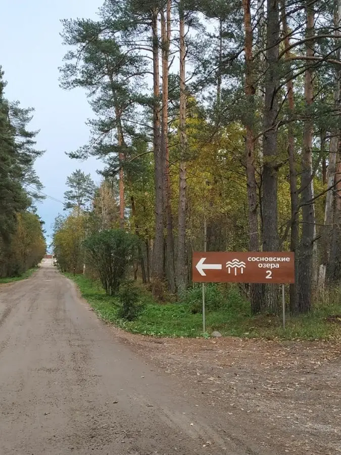 Сосново: Cottages Sosnovo Life