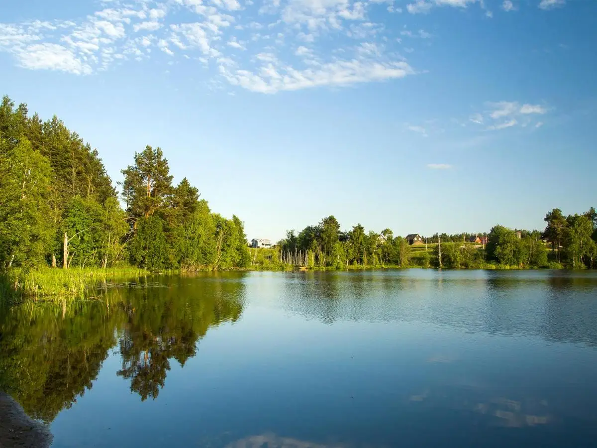 Сосново: Cottages Sosnovo Life