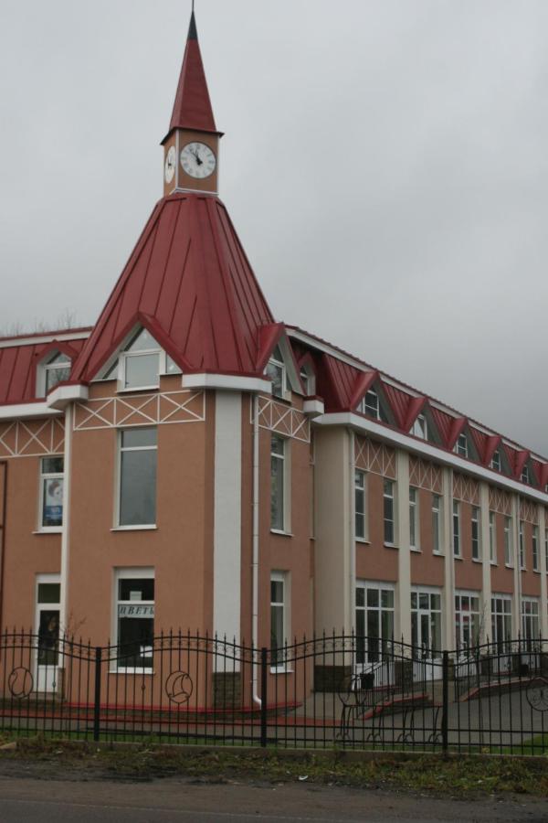 Вырица: Lida Mini-hotel