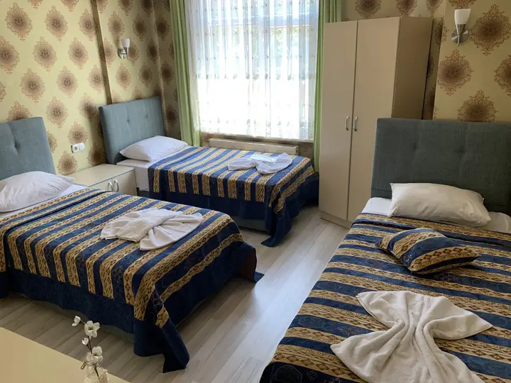 Стамбул: Anadolu Hotel