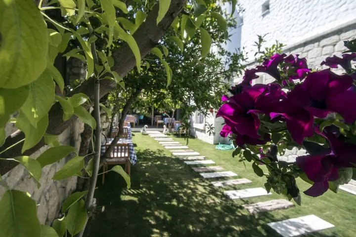 Чешме: Alaçatı 716 Hotel
