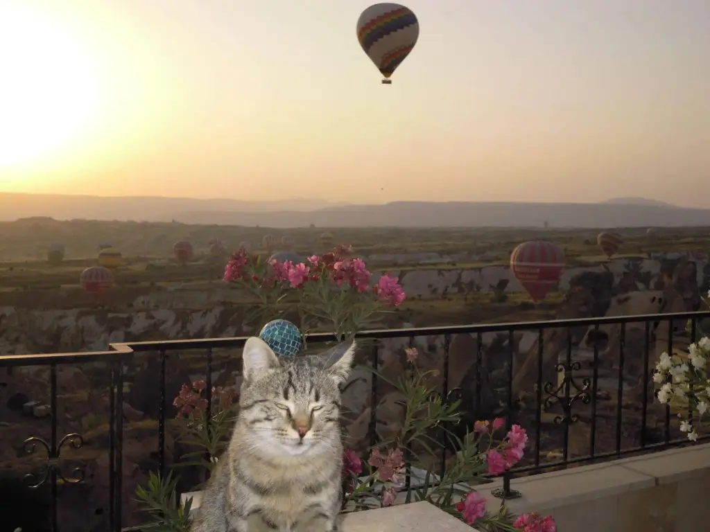 Учисар: Has Konak Cappadocia