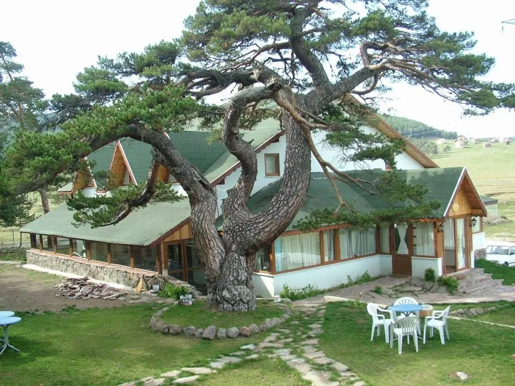 Болу: Koroglu Konagi