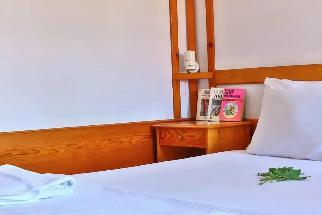 Манавгат: Hotel Villa Onemli