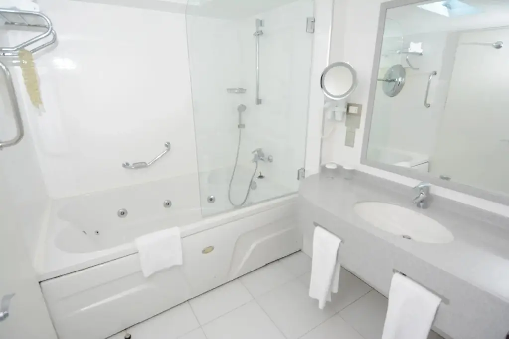 Стамбул: Holiday Inn Istanbul City by IHG