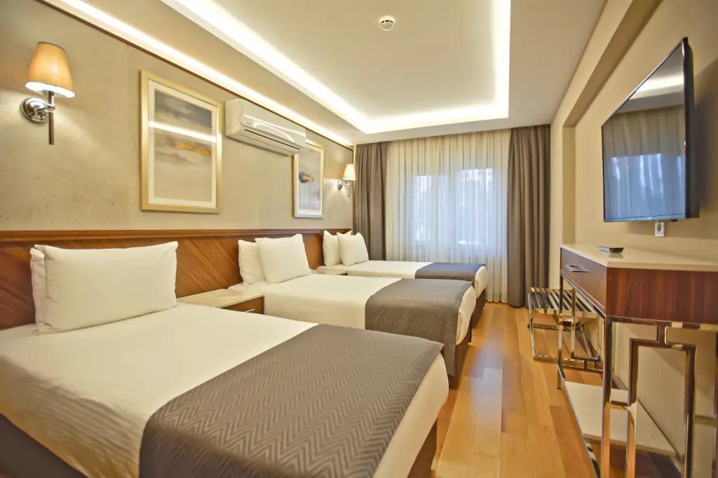 Стамбул: Sogut Hotel Old City
