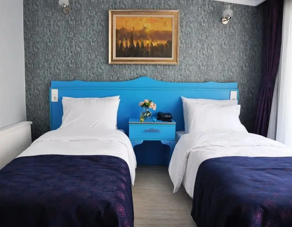 Стамбул: The Byzas Hotel