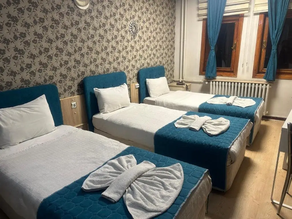 Конья: Mevlana Sems Hotel