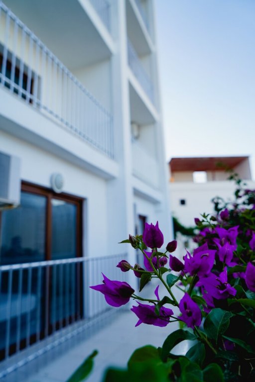 Бодрум: Rozetta Hotel