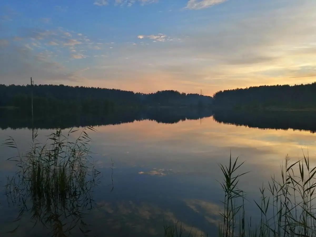 Дунай: Summer mini cottage