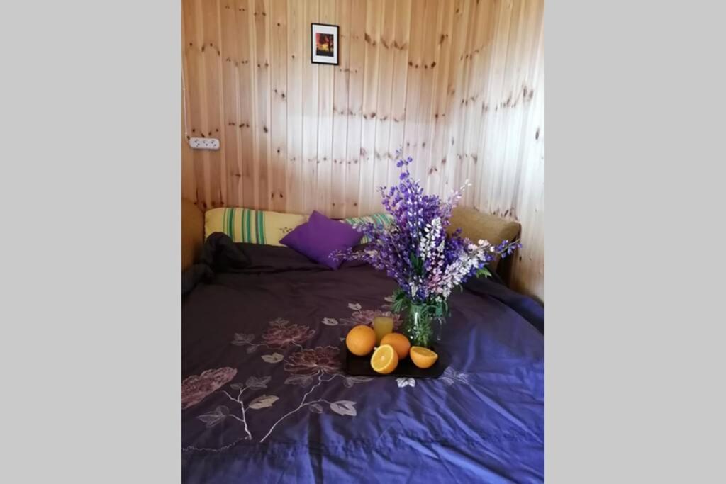Дунай: Summer mini cottage
