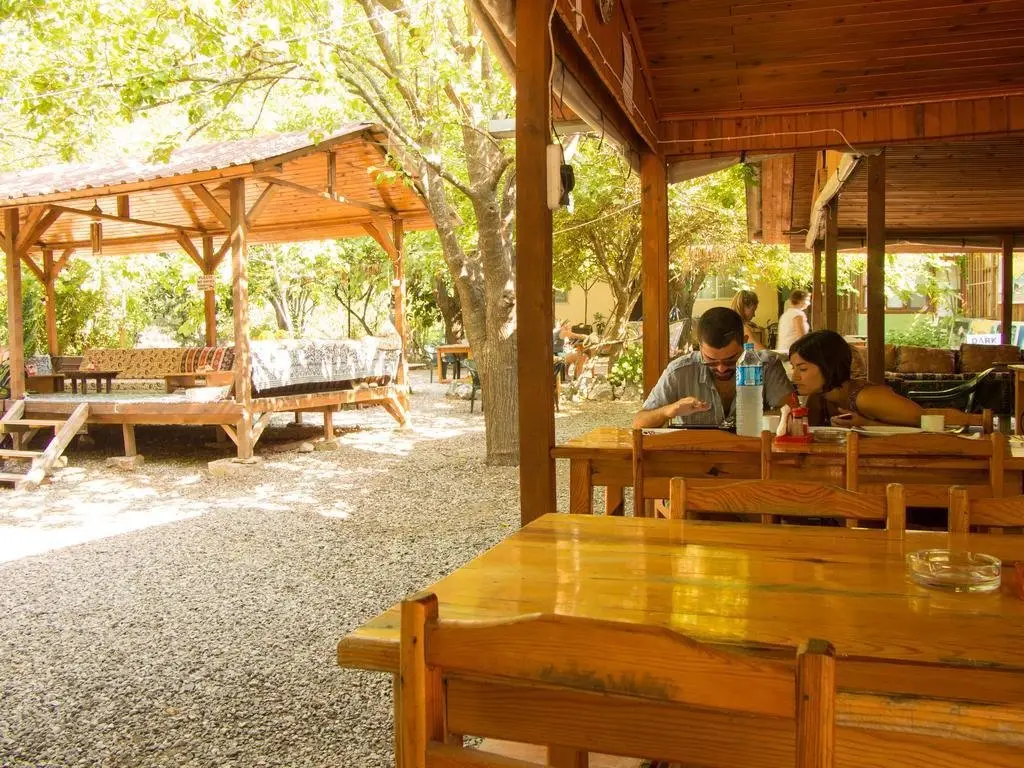 Saban Tree Houses — фото 1