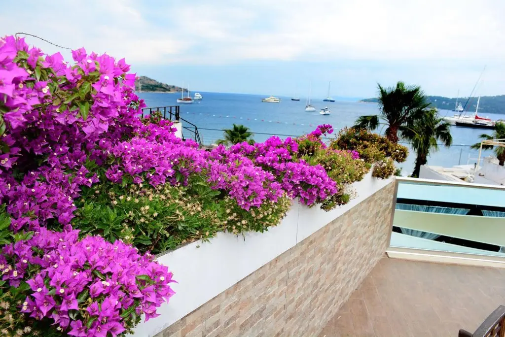 Тюркбюкю: Costa Blu Bodrum