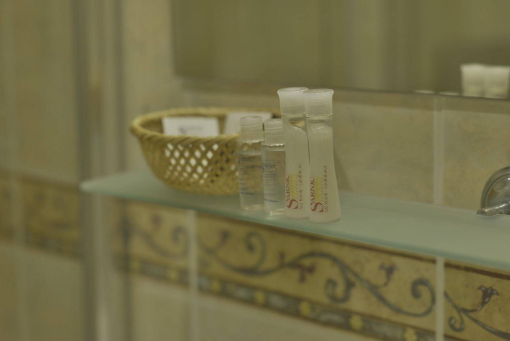 Стамбул: Sarnic Premier Hotel - Special Class