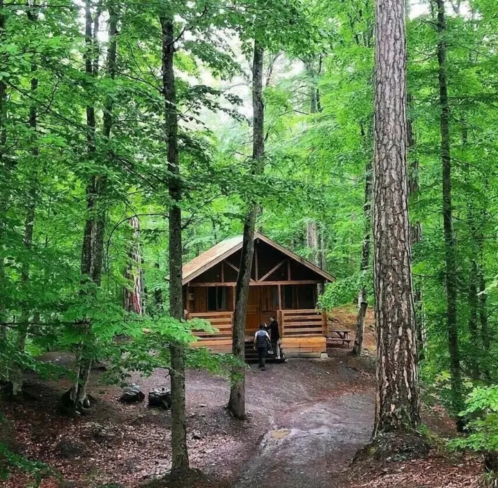 Болу: Habitat Mesire Evleri